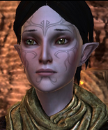 Merrillportraitpng — Dragon Age Companion and Advisor Rankings option 20
