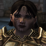 Sigruninfoboximagepng — Dragon Age Companion and Advisor Rankings option 31