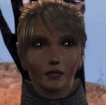 Velannasmalljpg — Dragon Age Companion and Advisor Rankings option 37