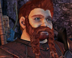 4785 0 1509417485jpg — Dragon Age Companions/Advisors option 8