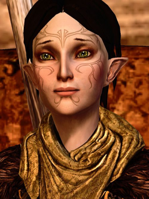 74c89573aceb2f856a2348521e84b7edjpg — Dragon Age Companions/Advisors option 12