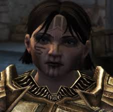 Sigrunjfif — Dragon Age Companions/Advisors option 28