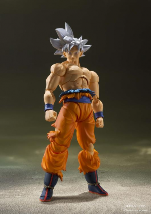 Sh figuarts dragon ball on sale z list