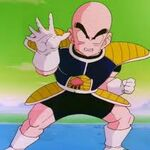 Zz1590591927krillininarmorjpg — Dragon Ball (All Characters) option 578