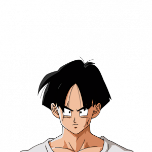 Zz1591126179ddomhh8 7e36d889 1c4d 4f34 83eb 9ece42f2fe69png — Dragon Ball (All Characters) option 585