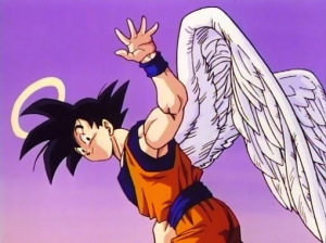 Img2918jpg — Dragon ball good guys option 30