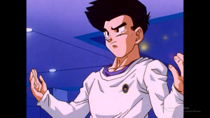 Img2943jpg — Dragon ball good guys option 55