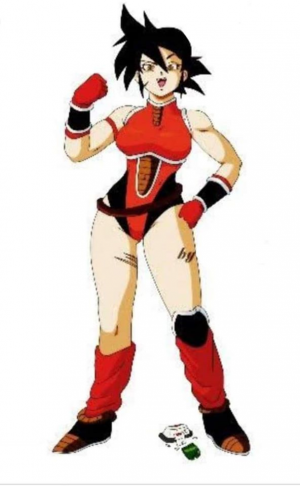 10710405733352855464827618158491385558110036ojpg — Dragon Ball Victory option 14