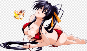 Png Transparent Rias Gremory Anime Akeno Himejima High School Dxd Character Anime Comics Cg Artwork Black Hairpng — Dragon Ball Victory option 92