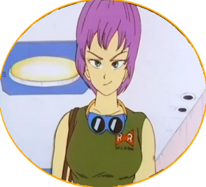 17jpg — Dragon Ball Waifu Wars option 8