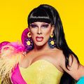 Shugacastmugjpg — Drag Race Queens option 106