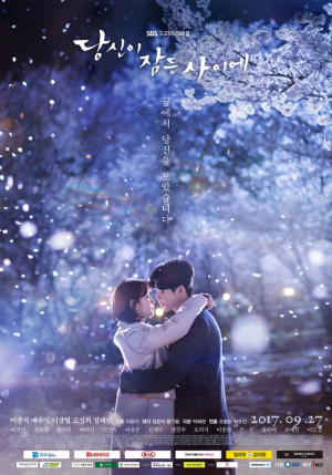 Whileyouweresleeping Sbs 2017 1jpg — Doramas option 43