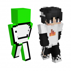 Cc6b74d5 897f 4e78 Bbc9 84dda6369382png — Dreamsmp & friends ships option 11