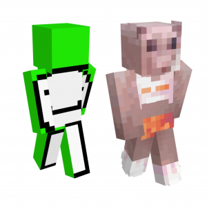 F92e842f 792a 41bd Ba9c 2b6e64550556png — Dreamsmp & friends ships option 12
