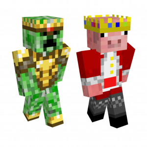 Zz1647734611a2deca71 F513 42ff Be12 Cfe1713805a3png — Dreamsmp & friends ships option 30