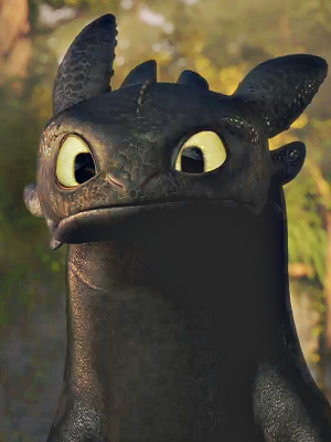 Dragons Toothlessjpg — Dreamworks' Dragons - Characters option 13