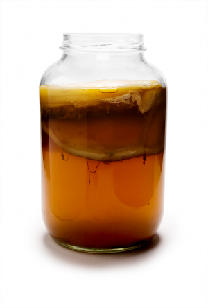 Kombuchamaturejpg — Drinks (Non-carbonated, -coffee, -alcoholic) option 33