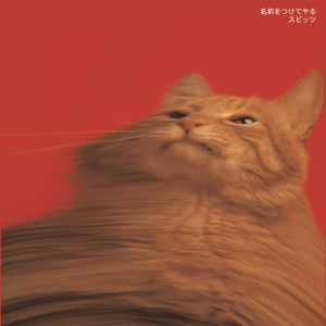 Zz1601535804png — Spitz Album Ranking option 8