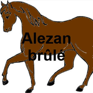Galop 3 deals les robes
