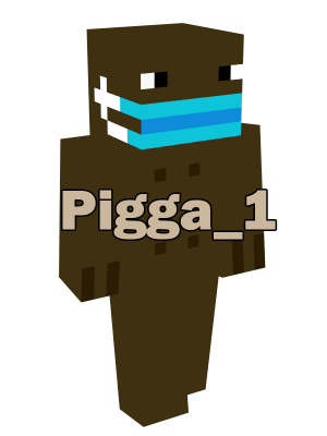Pigga1jpg — EarthMC Tier List 3.0 - Featuring 400 players option 279