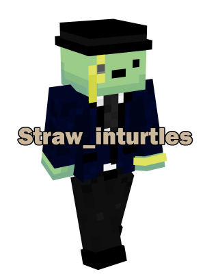 Strawinturtlesjpg — EarthMC Tier List 3.0 - Featuring 400 players option 340