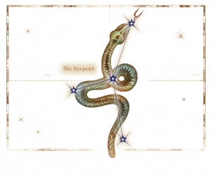 Birthsignserpentpng — Elder Scrolls 4 Oblivion Birthsigns option 8