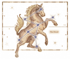 Birthsignsteedpng — Elder Scrolls 4 Oblivion Birthsigns option 10