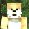 S1andreapng — EliteChris88 Minecraft Survivor Castaway Tier List option 1