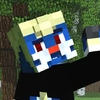 S1dizzypng — EliteChris88 Minecraft Survivor Castaway Tier List option 4