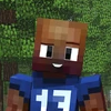 S1stratpng — EliteChris88 Minecraft Survivor Castaway Tier List option 12