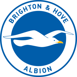 Langfr 260px Logobrightonhovealbion2011svgpng — England teams logos option 29