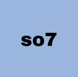 5f5047a2 1441 4a74 Bfef 12f5aaee046fjpeg — enneagram subtypes option 7