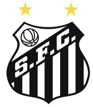 Santospng — Escudos de futebol mais bonitos do Brasil option 110