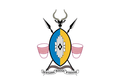 120px Busogapng — EU4 +300 Nations Tier List option 96