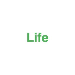 Zz1654035022image 3png — Every Beyoncé Song (RENAISSANCE 2022) option 141