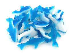 Gummy Sharksjpg — EVERY CANDY IN THE WORLD option 120