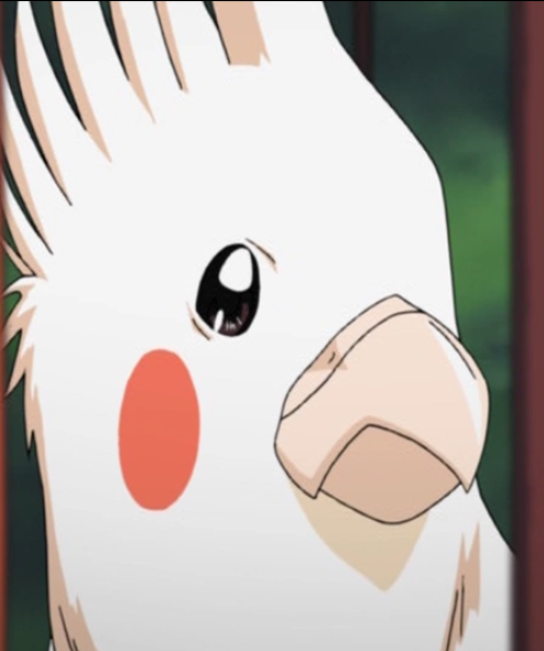 Screenshot2019 05 22 Yichi Shibatapng — Every character of Bleach option 217