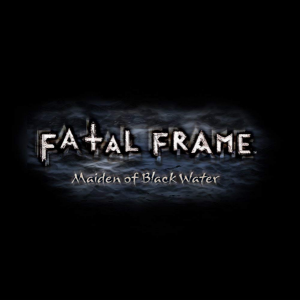 Fatalframepng — Every Nintendo Franchise option 14