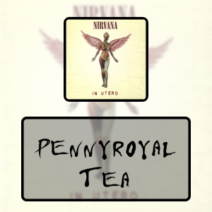 10 Pennyroyal Teapng — Every Nirvana Songs option 8