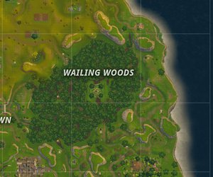 A Wailing Woodsjpeg — Every Single Fortnite POI option 118