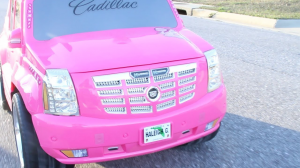 Zz1636330146toadpinkescaladejpg — Every Single Main Line SML Video option 836