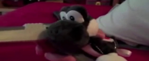 Zz1636330146toadsdeathgame3jpg — Every Single Main Line SML Video option 839