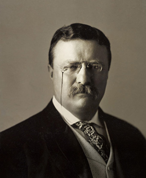 26 Theodore Rooseveltjpg — Every US President option 19