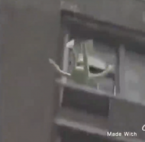 Screen Shot 2020 03 01 At 44908 Pmpng — every vine ever option 22