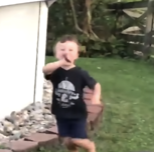 Screen Shot 2020 03 01 At 52702 Pmpng — every vine ever option 98