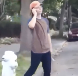 Zz1583102246screen Shot 2020 03 01 At 44738 Pmpng — every vine ever option 132