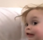 Zz1583102255screen Shot 2020 03 01 At 52753 Pmpng — every vine ever option 223