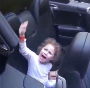 Zz1583102556screen Shot 2020 03 01 At 45419 Pmpng — every vine ever option 268
