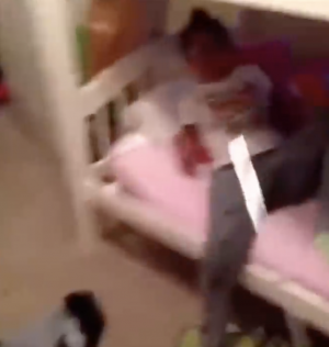 Zz1583103165screen Shot 2020 03 01 At 45709 Pmpng — every vine ever option 525