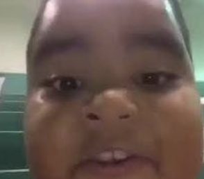 Zz1583103166screen Shot 2020 03 01 At 50155 Pmpng — every vine ever option 537